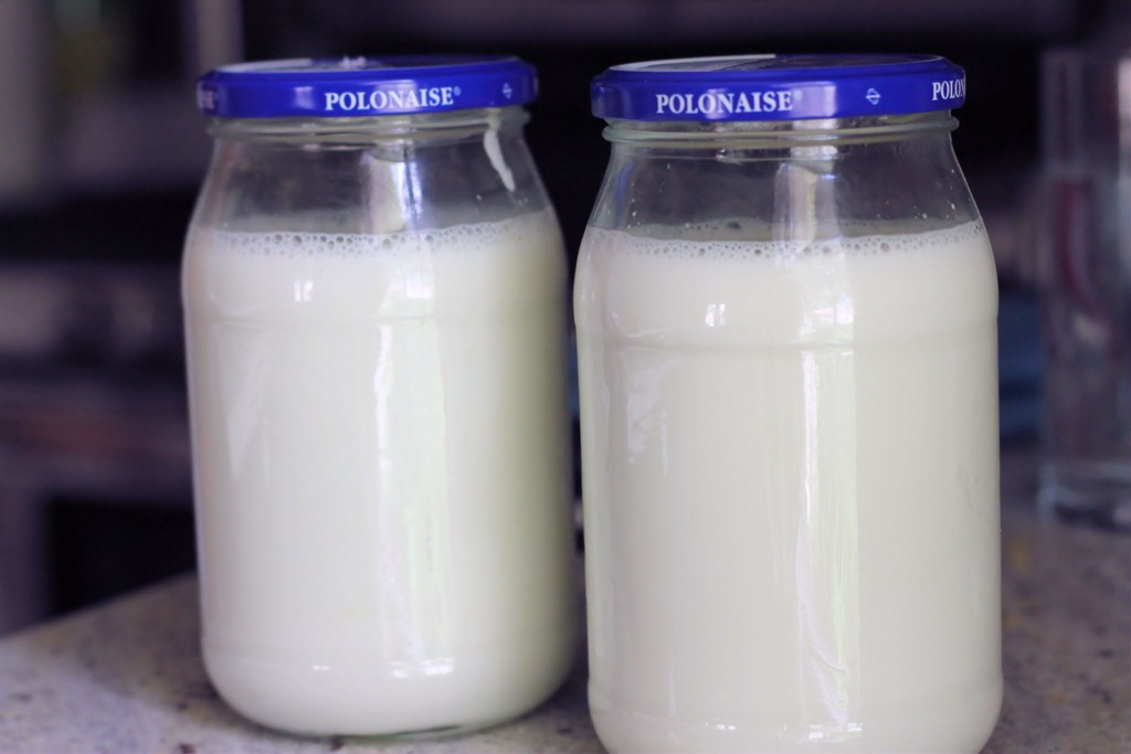 [homemade_yogurt_recipe%255B5%255D.jpg]