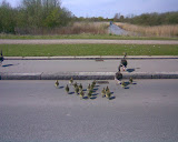 ørestad boulevard 3.jpg