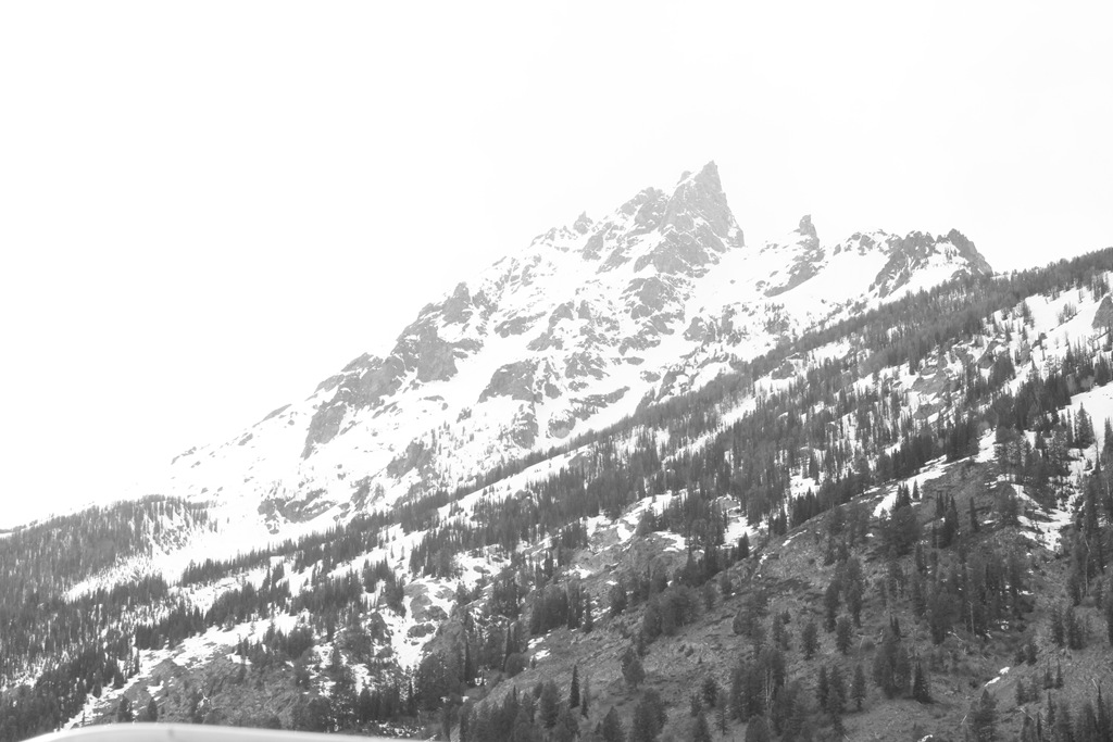 [IMG_4926%255B5%255D.jpg]