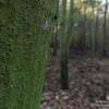 dsc03902.jpg