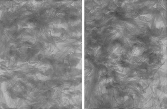 tulle-portrait-1 tulle-portrait-1