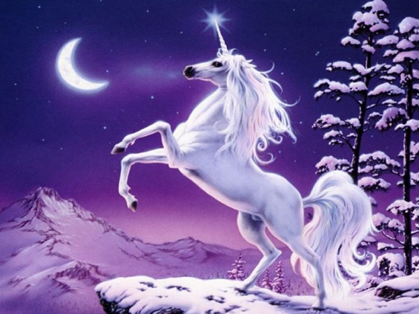 Unicorn1