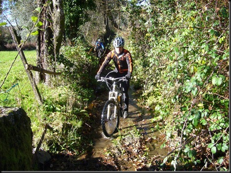 P1050984 P1050984
