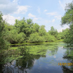 IMG_3466.JPG