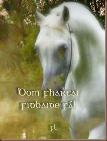 Dom-fharcai fidbaide Cover