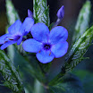 CSC_0613.JPG