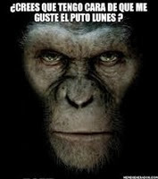 puto lunes cosasdivertidas info (10) puto lunes cosasdivertidas info (10)