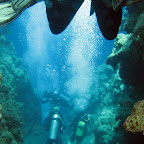 The Bells