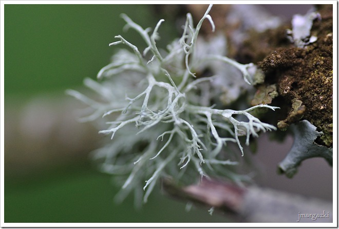 DSC_8418 DSC_8418