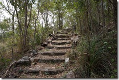 the path to/from Ganoonga Noonga Lookout, Eurimbula National Park
