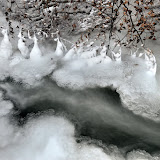 Bressonne