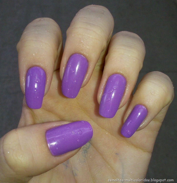 [VIOLETA-COLORAMA-516.jpg]