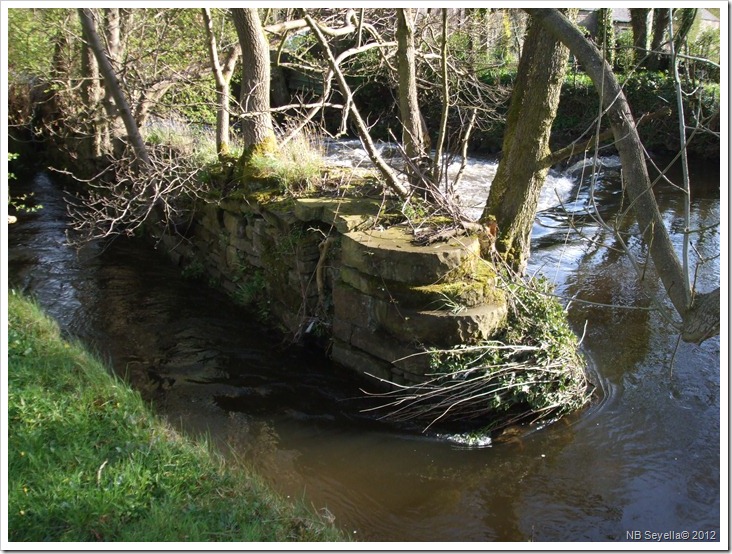 DSCF0542 Mill Leat on the Goyt