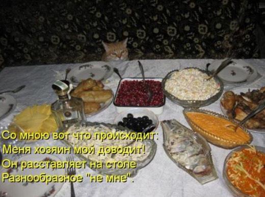 [985a24924fb3516a6d56fb76e1e_prev%255B3%255D.jpg]