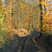 2012--11-11-Joledi-wandeling-Berismenil 126.jpg