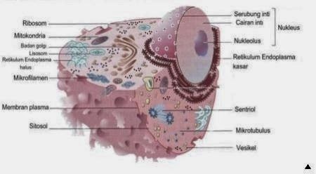 [clip_image0013.jpg]