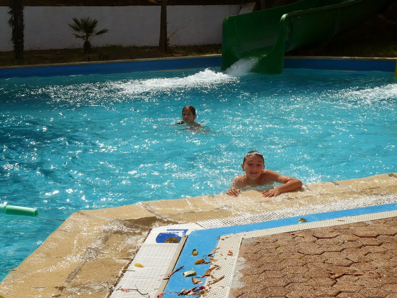 P1010989.JPG