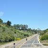 DSC_0386.JPG