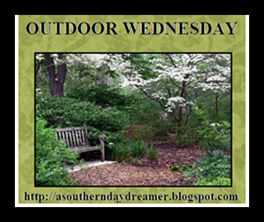 [Outdoor-Wednesday-logo_thumb1_thumb1.png]