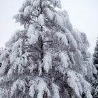 20091201 Allgaeu 1040 [640x480].JPG