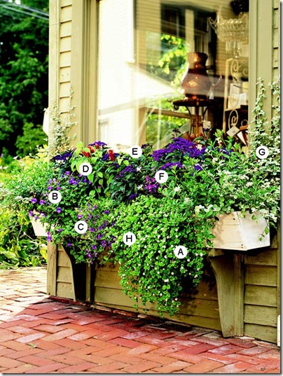 window box2