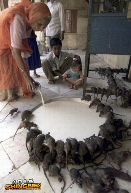 life-in-india-15
