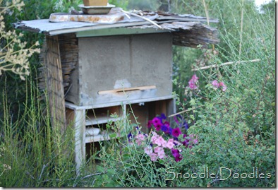 Homestead July 2011 011