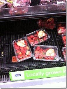 Shopping_for_Grilled_Essentials (14)
