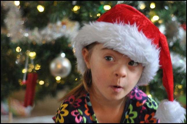 DSC_0245 DSC_0245