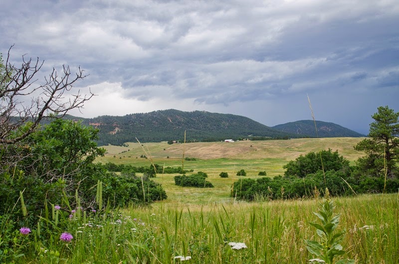 Spruce Mountain-47