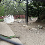 P1090696.JPG