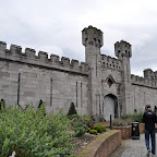 DSC_8348-2.jpg