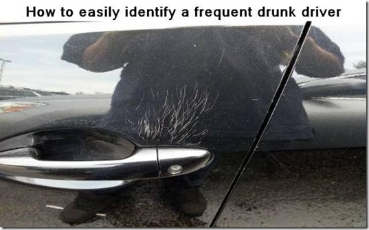 viral-picdump-pics-45