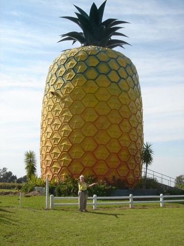 big_pineapple SUNSHINE COAST