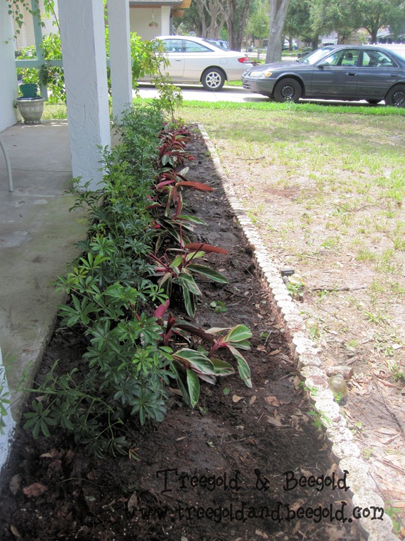 [IMG_1821_2%255B4%255D.jpg]