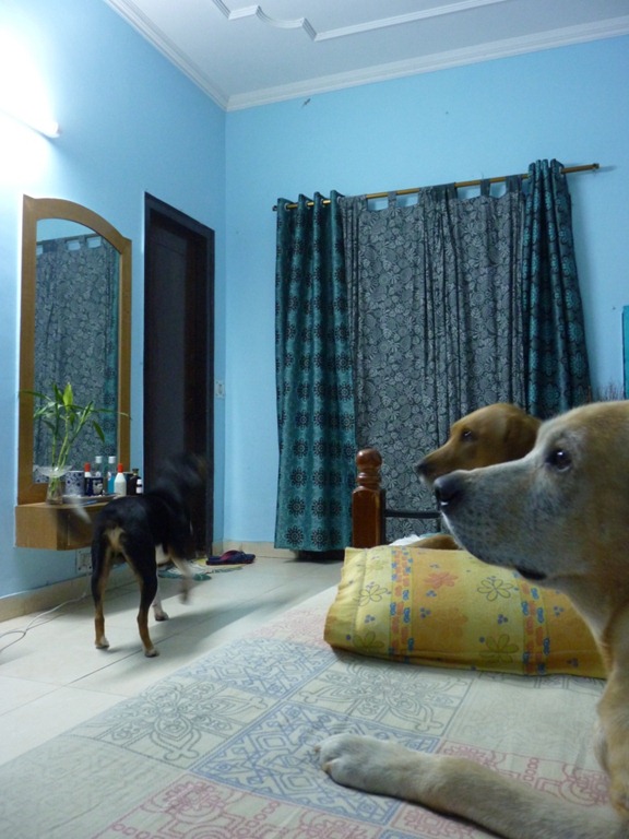 [P1030394%255B4%255D.jpg]