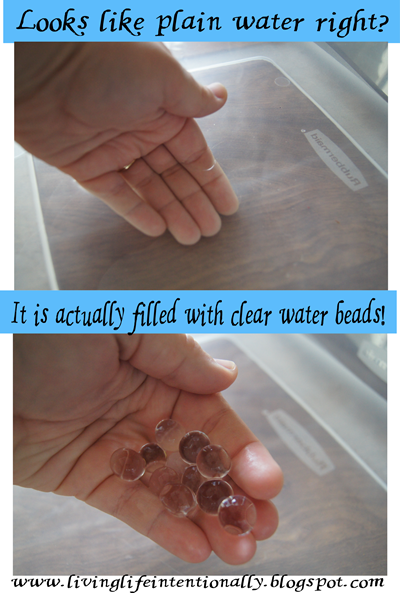 water bead sensory science play for toddler, preschool, and homeschool water bead sensory science play for toddler, preschool, and homeschool