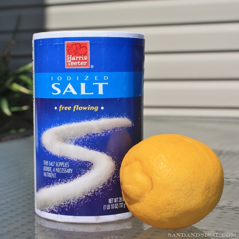 [Salt%2520and%2520lemon%2520%2528800x800%2529%255B7%255D.jpg]
