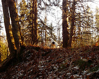 P1130789.JPG Photo