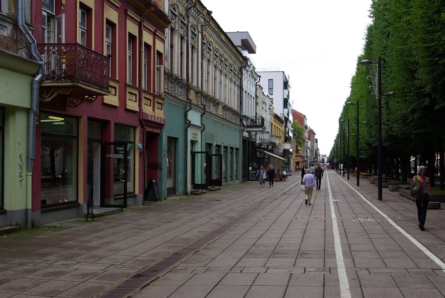 IMGP8893.JPG