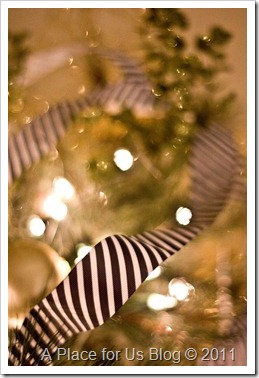 IMG_1177_3122