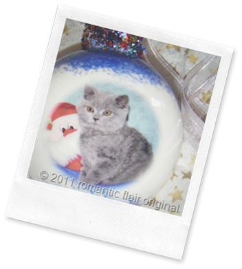 personalized-pet-keepsake