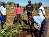 South Africa - 208.JPG