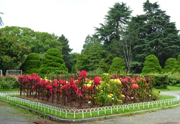 Glória Ishizaka -   Kyoto Botanical Garden 2012 - 116