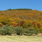 IMG_2486.jpg