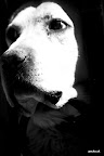 img_0008.jpg