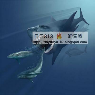 巨牙鯊（巨齒鯊 Carcharodon megalodon）史上最大鯊魚 體長為大白鯊兩倍