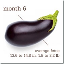 week 26