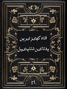 فەئاھ كھىزىرەين يۇدۇئائىن شۇئاينىيل Cover فەئاھ كھىزىرەين يۇدۇئائىن شۇئاينىيل Cover