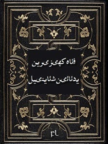 فەئاھ كھىزىرەين يۇدۇئائىن شۇئاينىيل Cover